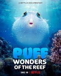 ดูหนังออนไลน์ Puff Wonders of the Reef (2021) พัฟฟ์ มหัศจรรย์แห่งปะการัง (ซับไทย)
